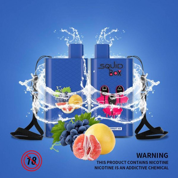 SQUID BOX 5200 RECHARGEABLE DISPOSABLE