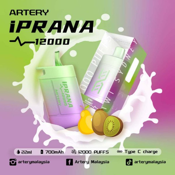 ARTERY IPRANA 12000 RECHARGEABLE DISPOSABLE
